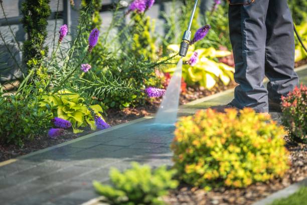 Best Pool Deck Cleaning  in Milton, WV